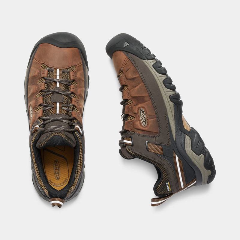 Keen 靴 | キーン ターギー 3 防水 登山 靴 メンズ ブラウン | 280961-QOH